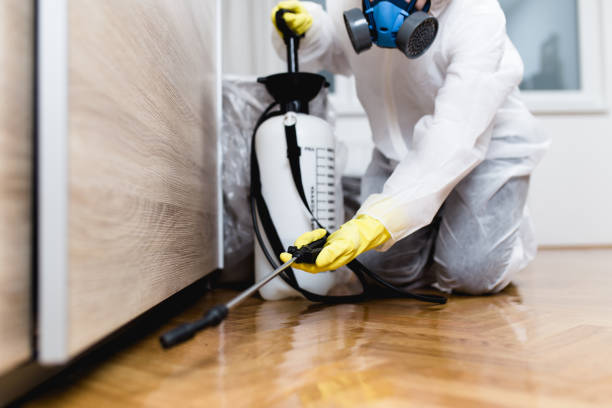 Best Wasp Removal Services  in Cascade Locks, OR