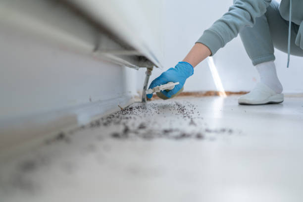 Best Pest Control Treatment  in Cascade Locks, OR