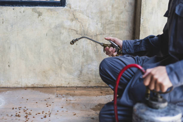 Best Termite Control Services  in Cascade Locks, OR