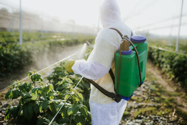 Best Pest Control for Homes  in Cascade Locks, OR